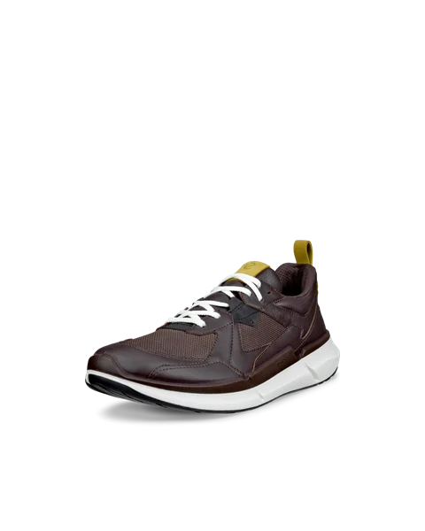 B2b ecco online