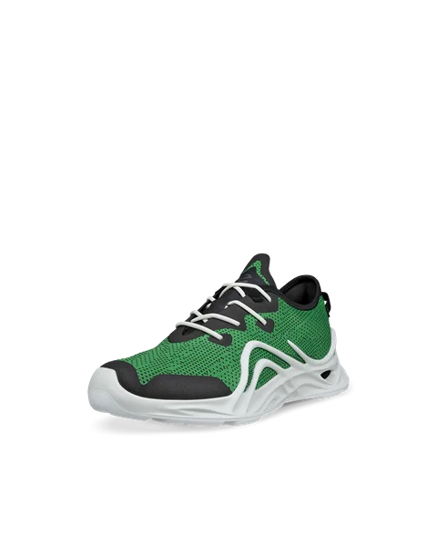 Ecco biom hybrid green discount