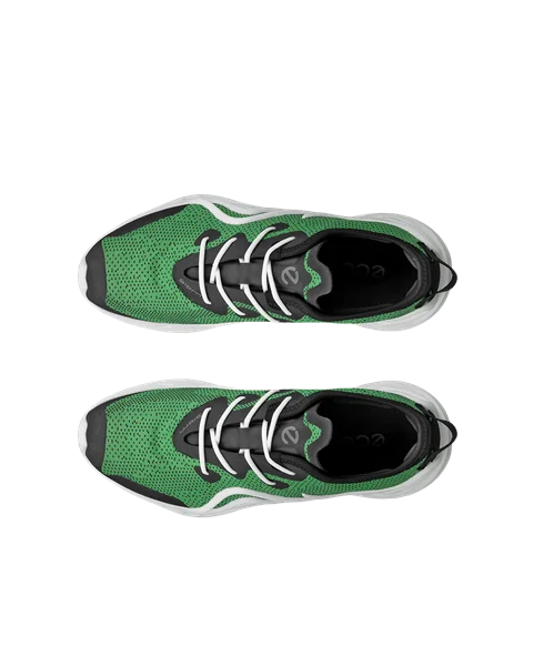 Ecco biom green 2025