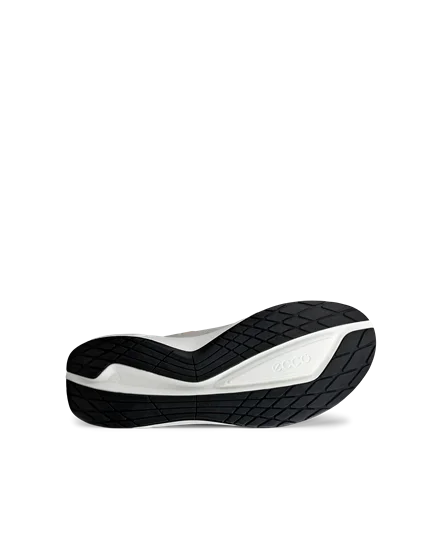 Ecco biom 2 online