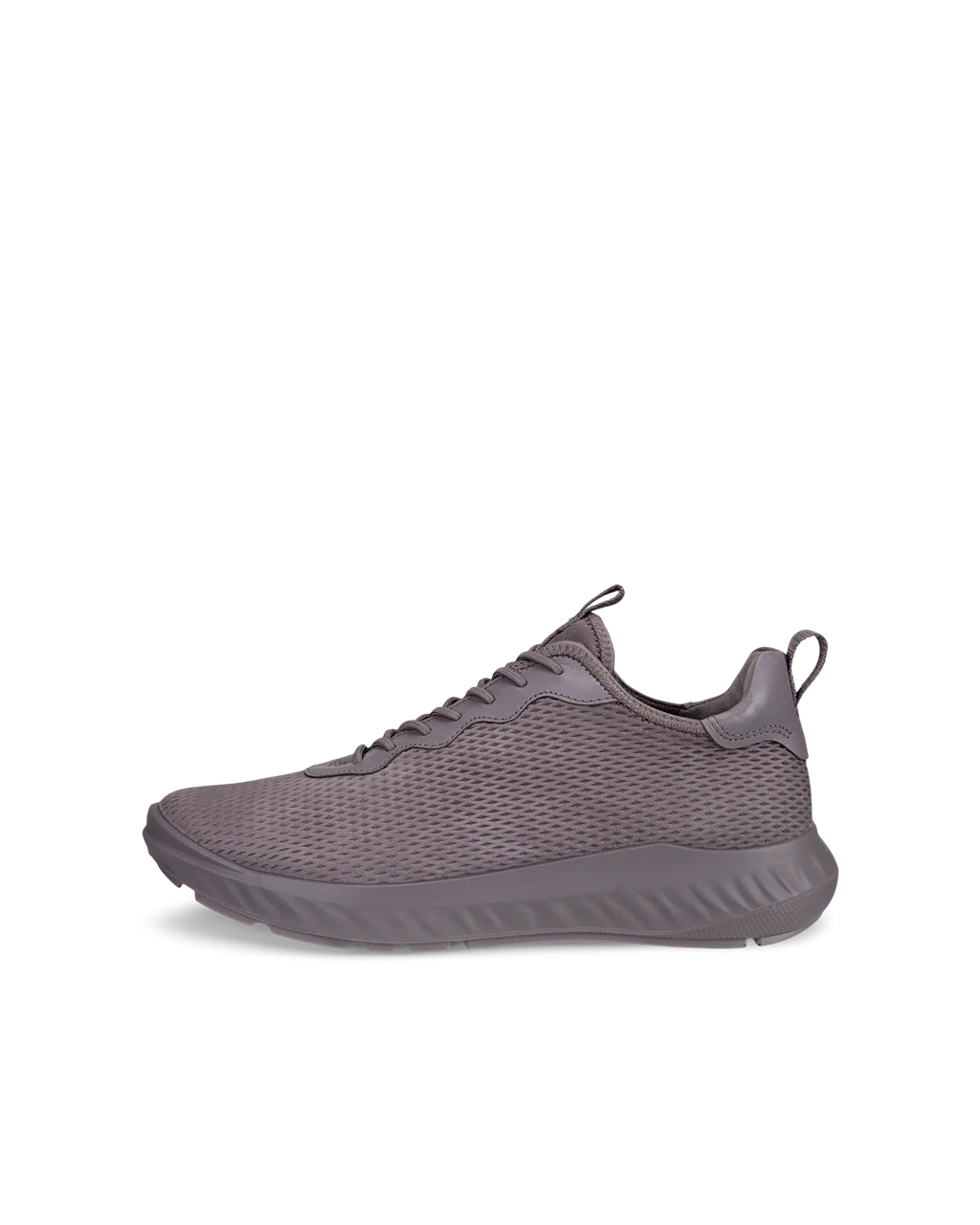 Krm ecco 2025