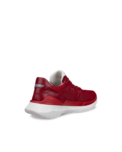 Ecco biom b cheap