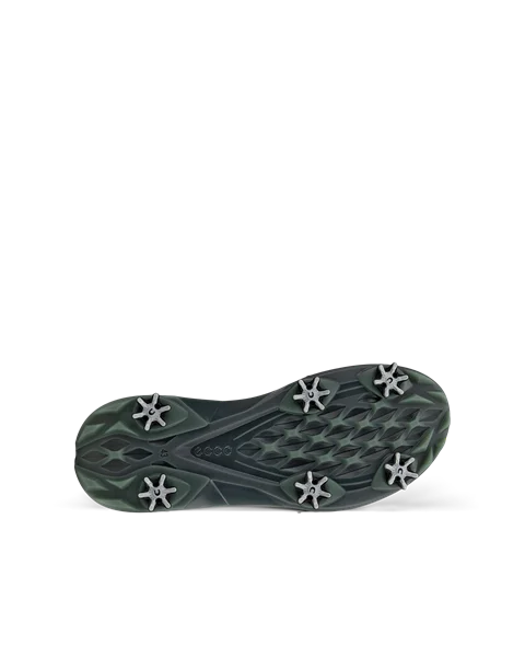 Ecco biom deals spikes