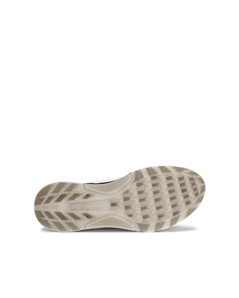 【現金特価】 Męskie skórzane C4 Biom Golf ECCO® Gore-Tex z golfa do buty シューズ(男性用)