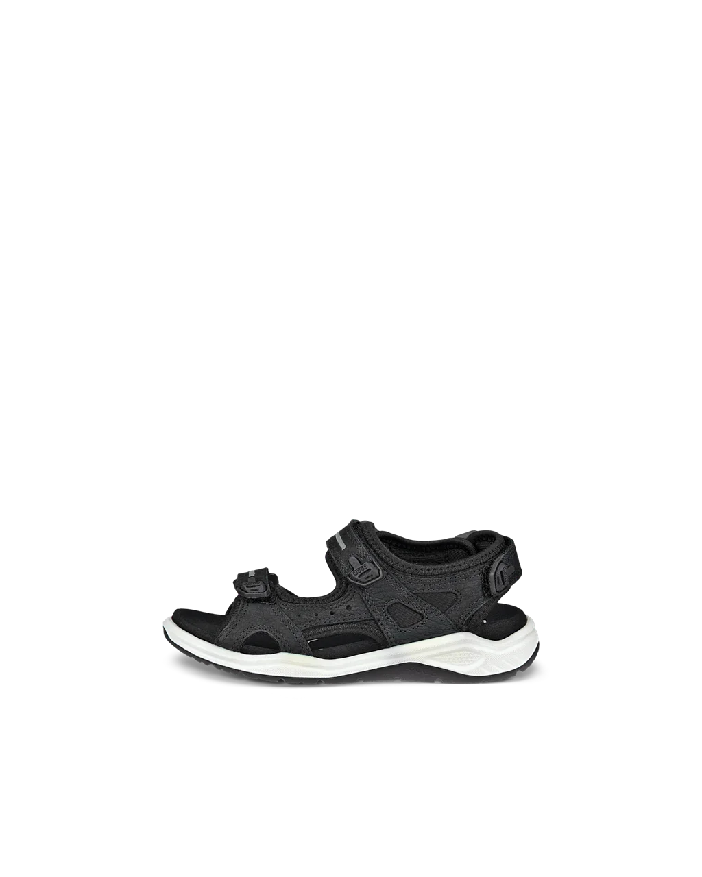 Ecco trinsic clearance