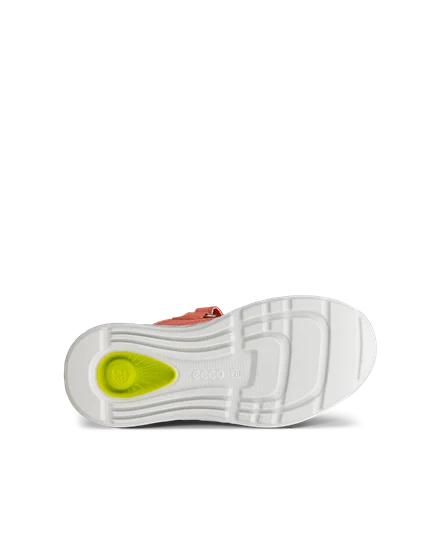 Ecco biom lite orange online