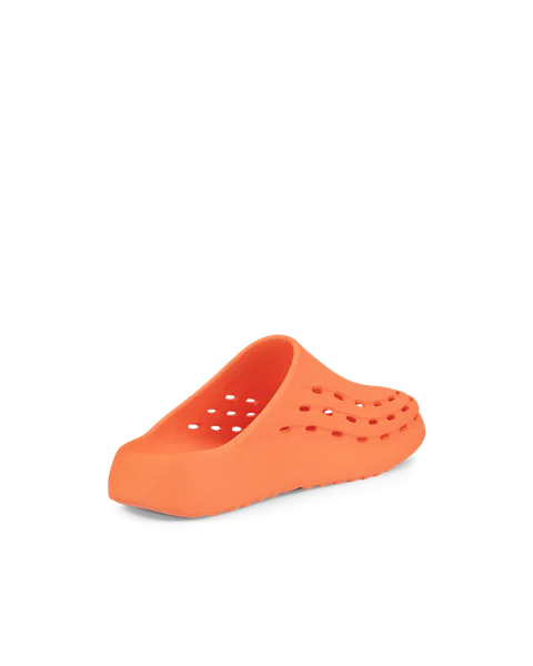 Ecco slide 2025