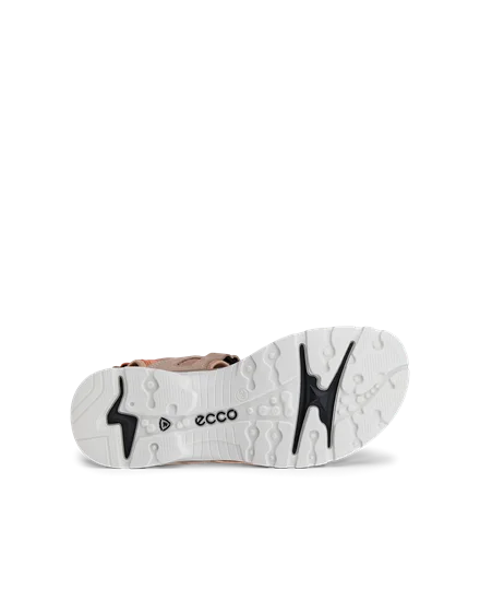 Ecco n online