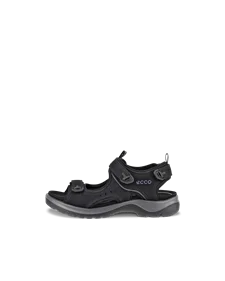 Women s Sandals Sliders Clogs ECCO