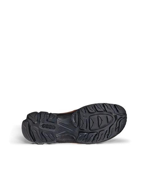 Ecco biom hike brown best sale
