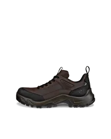 Ecco biom terrain gtx low discount
