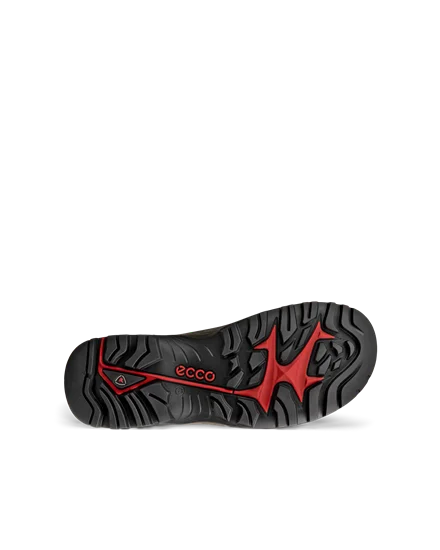 Ecco receptor hiking shoes hot sale