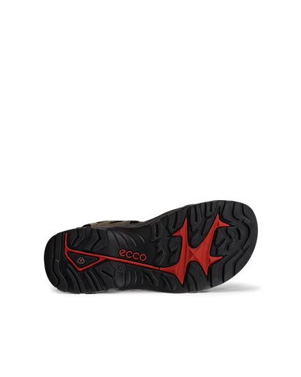 Ecco receptor red clearance