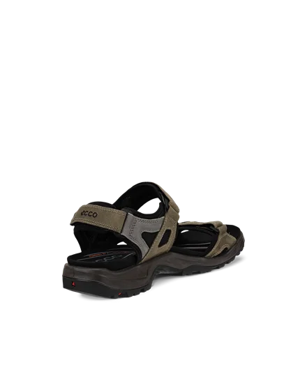 Ecco damara hot sale mens birch