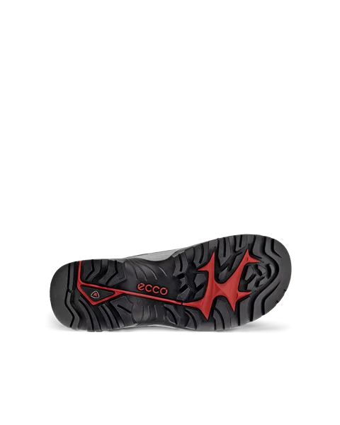 Ecco technology cheap