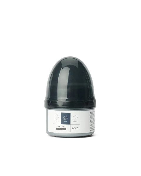 Ecco shoe best sale polish